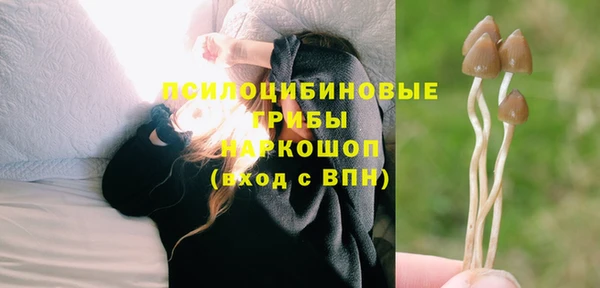 кристаллы Щигры