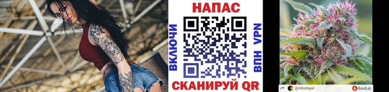 Шишки марихуана план  Купить  Таруса 